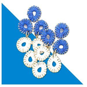 Kentucky Wildcats Blue White Football Team Colors Raffia Waterfall Earrings NEW